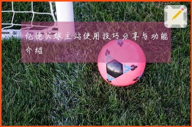 亿德买球主站使用技巧分享与功能介绍
