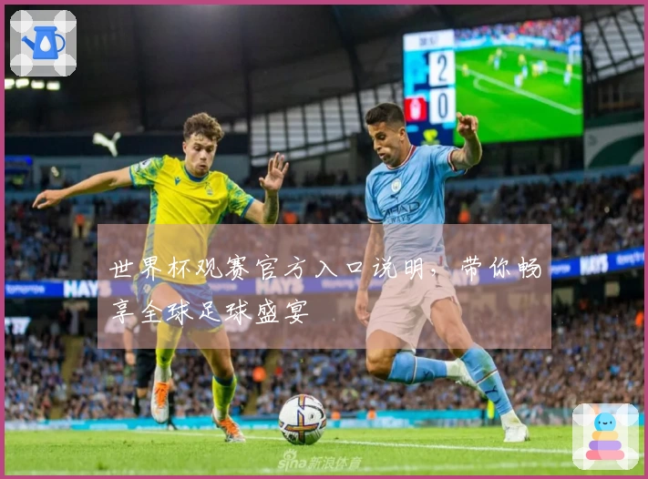世界杯观赛官方入口说明，带你畅享全球足球盛宴