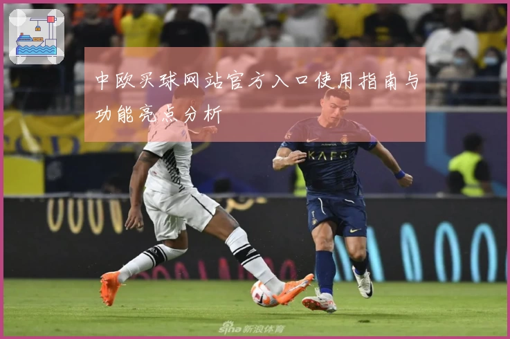 中欧买球网站官方入口使用指南与功能亮点分析