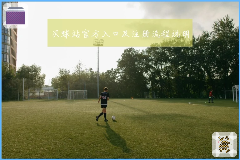 买球站官方入口及注册流程说明