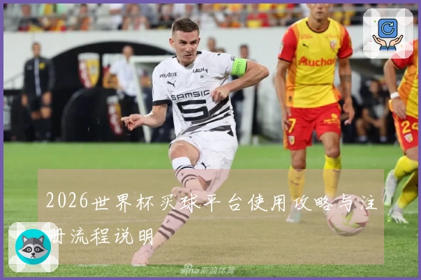 2026世界杯买球平台使用攻略与注册流程说明
